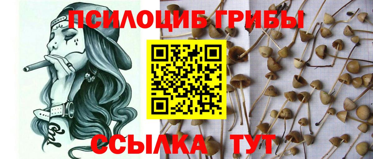 Псилоцибиновые грибы Magic Shrooms Севастополь