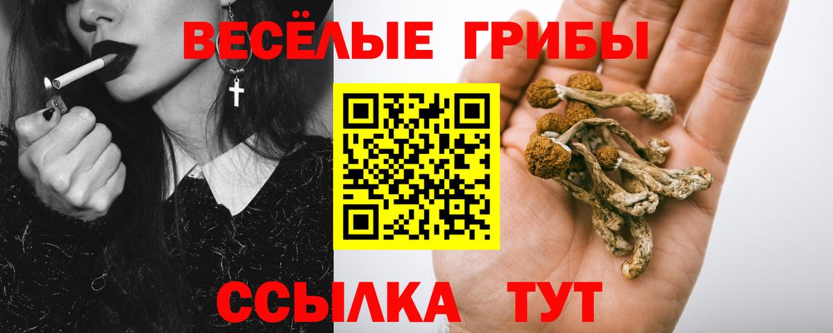 Севастополь  цена   Вход с VPN  Псилоцибиновые грибы мухоморы 